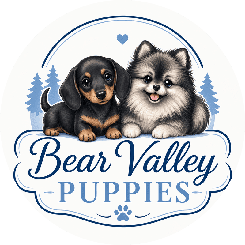 Bear Valley Puppies