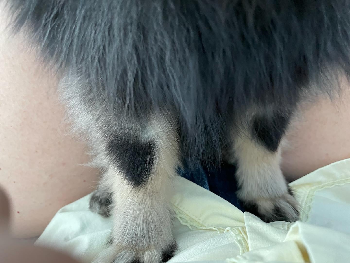 Hearts on Lily's Legs