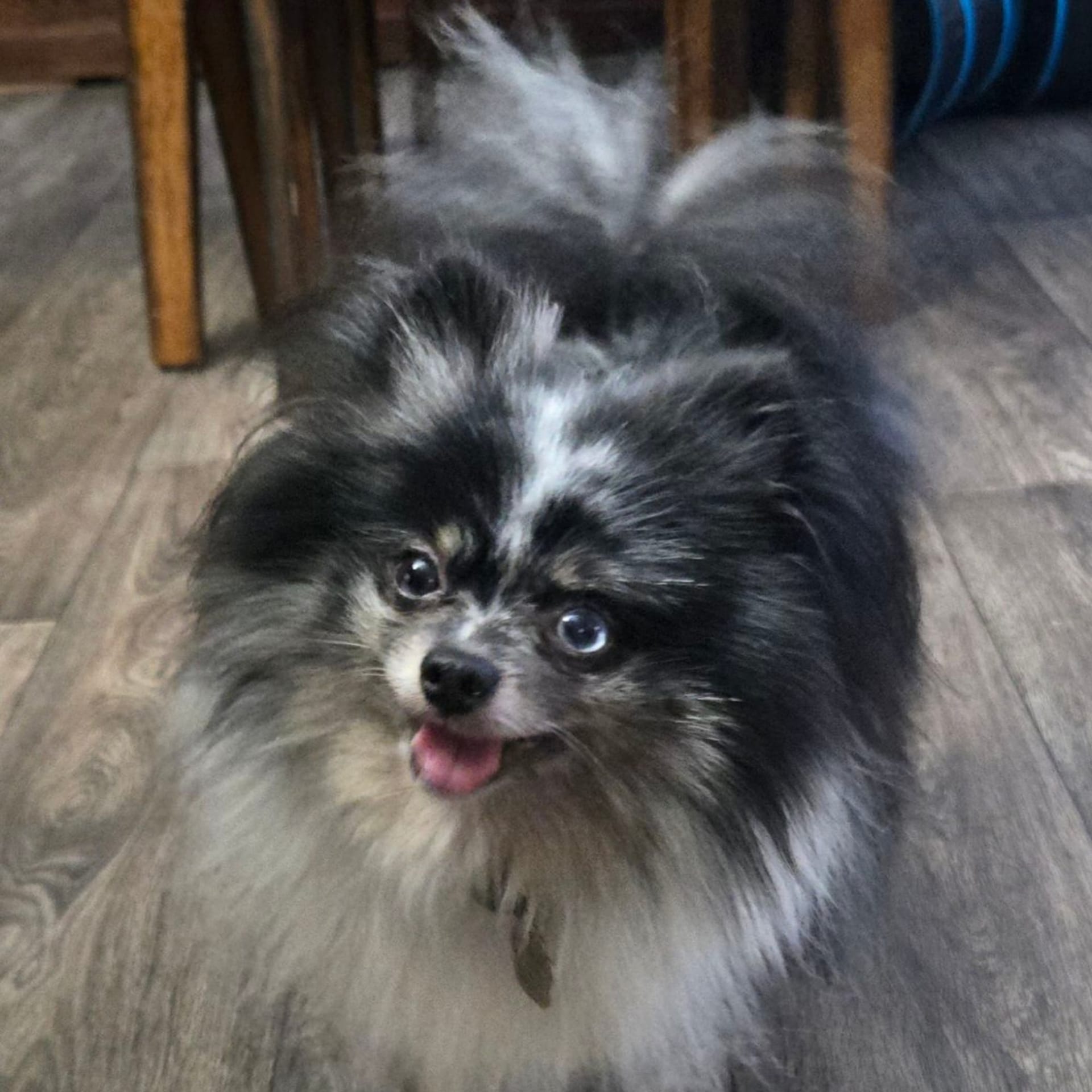 MAX photo