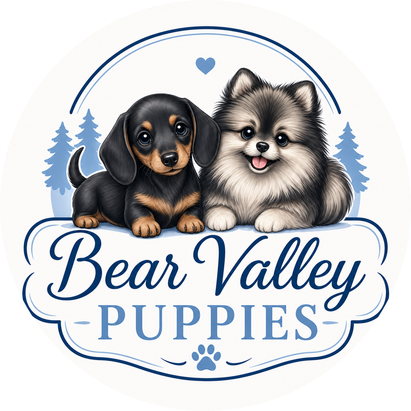 Bear Valley Puppies