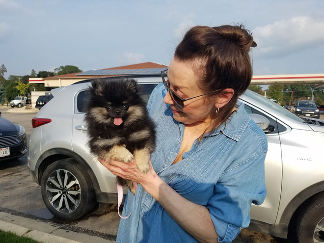 Bear Valley Pomeranian